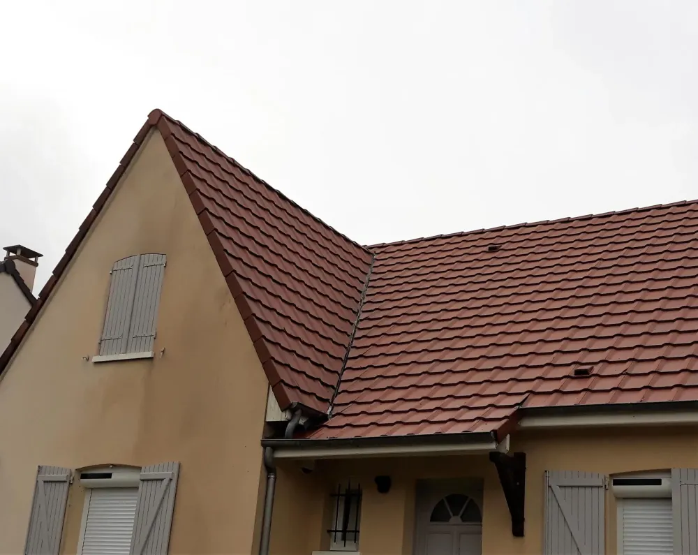 Traitement de toiture (2)
